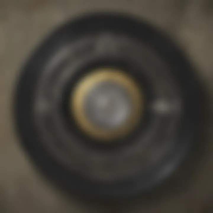Magnificent Exploring the Fallout 4 Vinyl Record: A Resonant Journey Through Sound