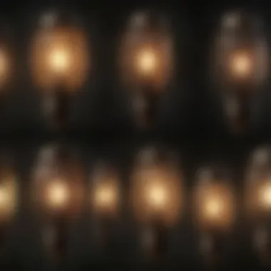 A close-up of various lantern bulbs found in the Fallout universe.