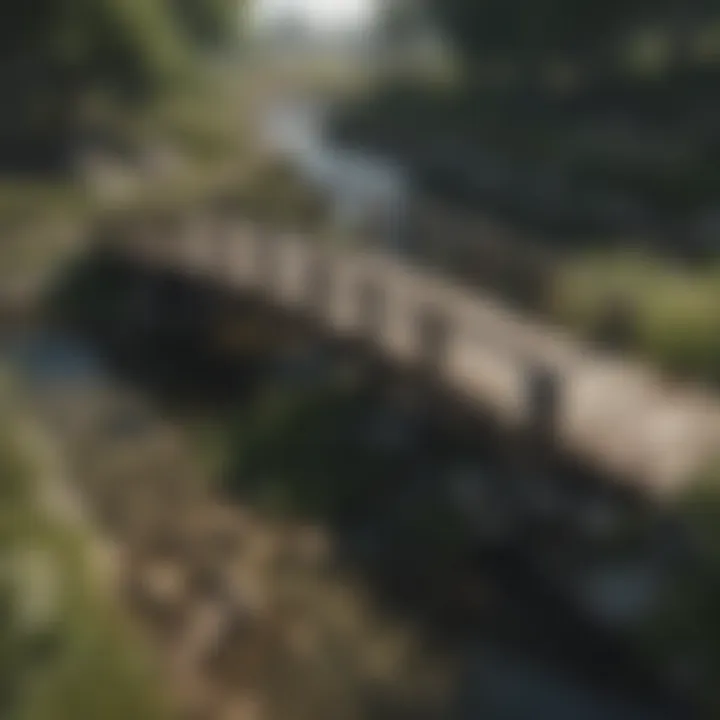 Elegant Wooden Garden Bridge Over a Babbling Brook