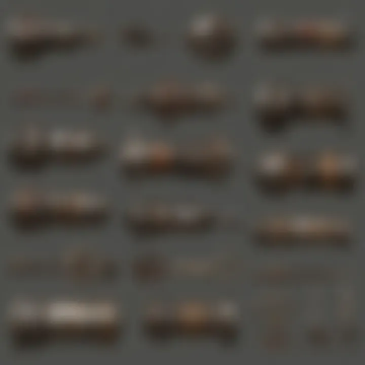A detailed diagram illustrating various lock types found in the Fallout universe