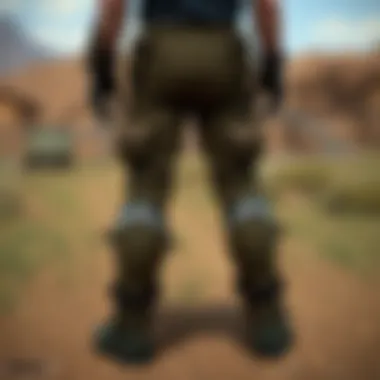 Modifications for Raiders Pants An array of modifications available for Raiders Pants