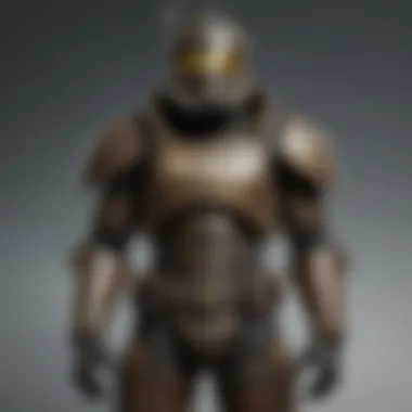 Fallout Armor Versatility