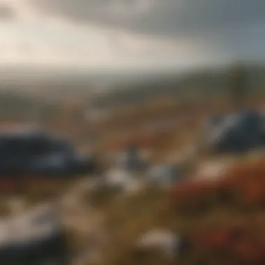 Panoramic View of Dolly Sods Wilderness