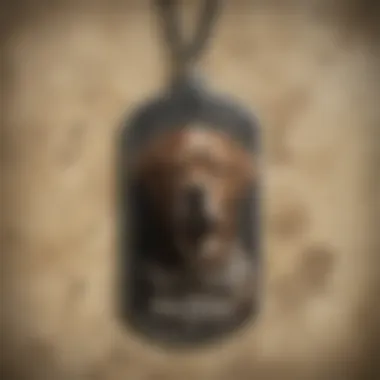 Artwork showcasing the cultural impact of Raiders Dog Tags