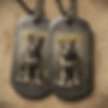 Illustration of gameplay mechanics involving Raiders Dog Tags