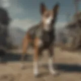 Detailed view of Raiders Dog Tags representing identity