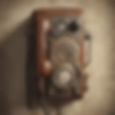 A beautifully styled living room featuring a wall-mounted vintage telephone as a decorative piece.