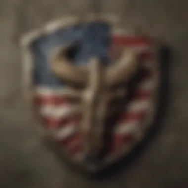 Close-up of Under Armour Marines shirt logo with American flag