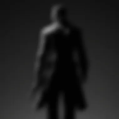 Mysterious Silhouette of Vincent May